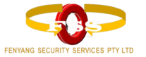 security services south africa